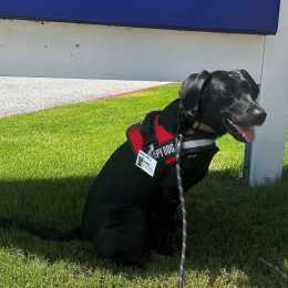 Echo_POTM_November_2024_square