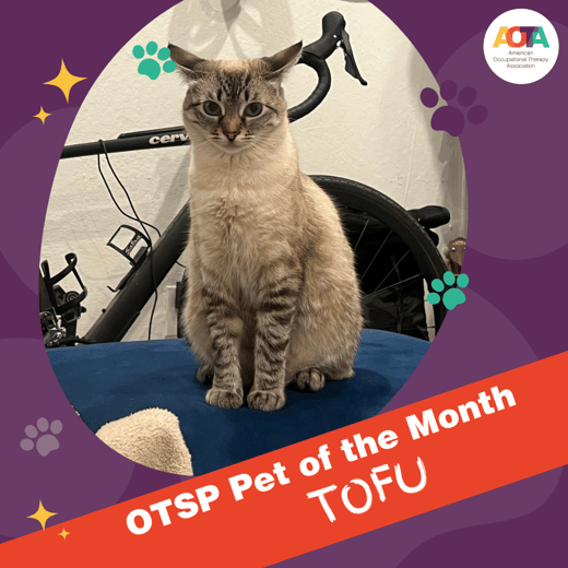 Tofu, Pet of the Month June 2024